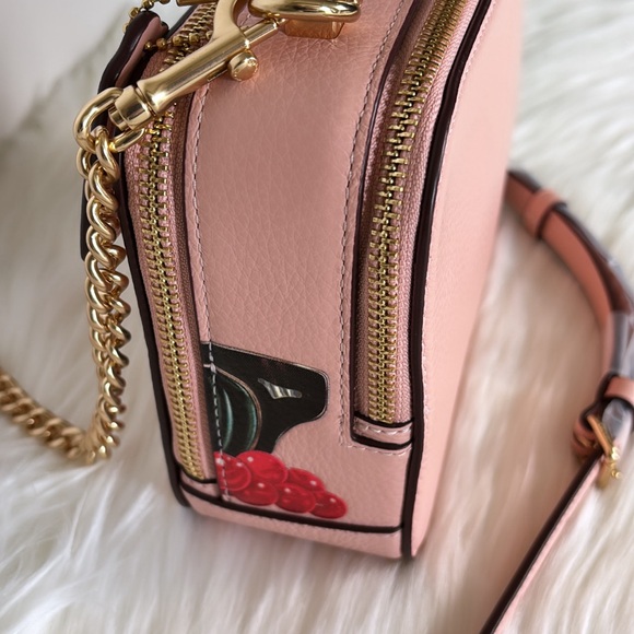 NWT💃Coach Coach X Tom Wesselmann Box Crossbody Bag - Picture 5 of 14